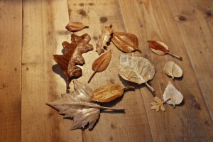 leaves wood floor